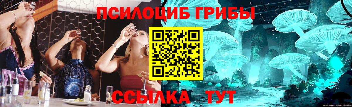 Заволжье  Псилоцибиновые грибы мицелий  Вход с VPN 